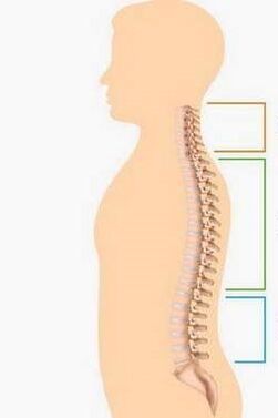 Lesión de la osteocondrosis de diferentes partes de la columna vertebral
